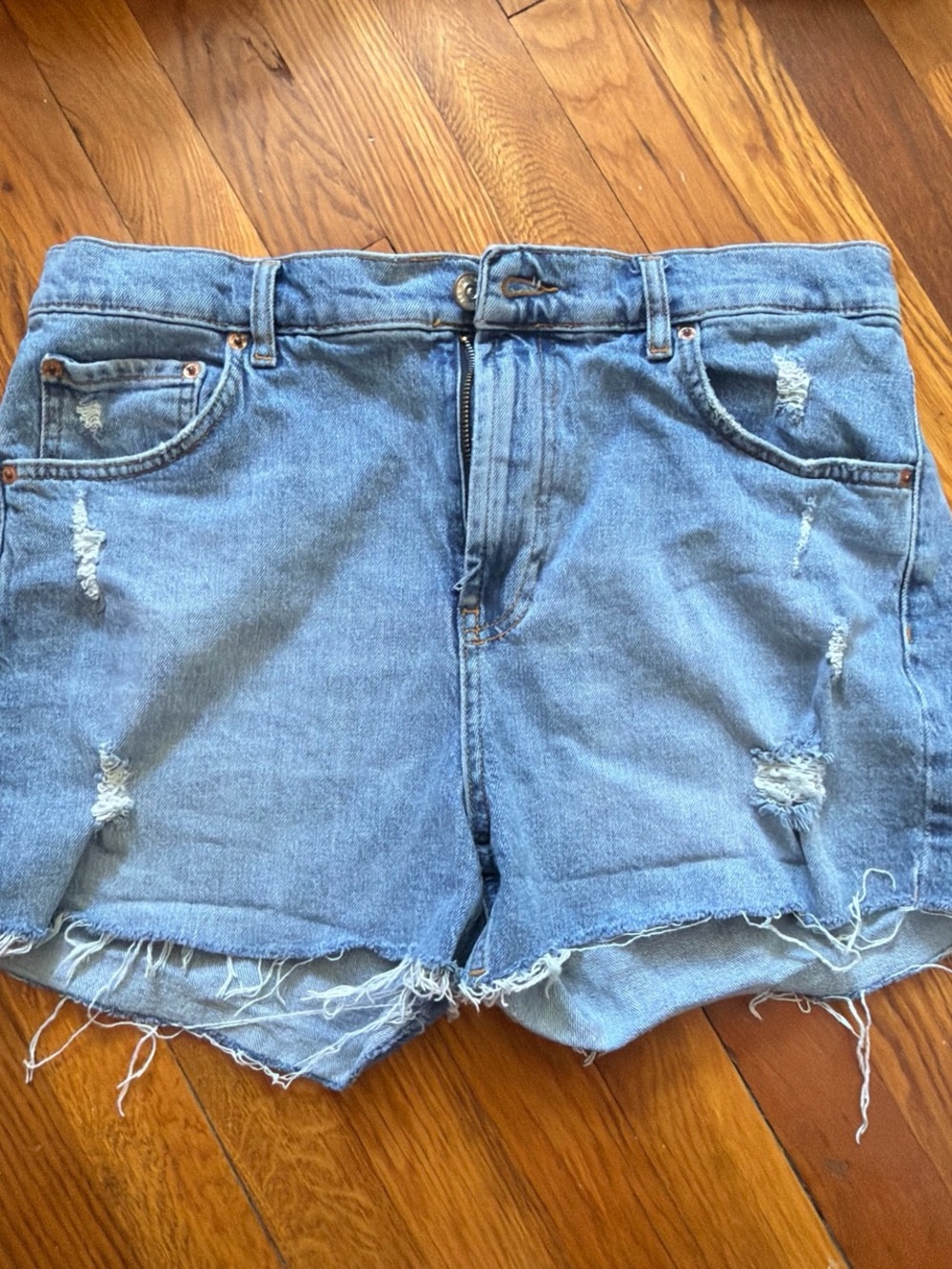 BDG Light Blue Distressed Denim Cutoff Shorts